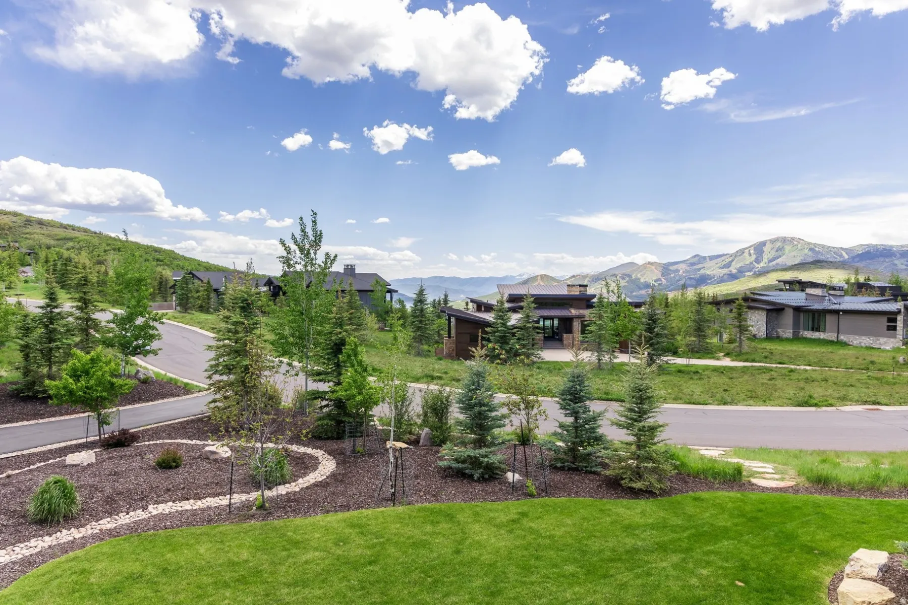 Manicured lawn with a landscaped border and evergreen trees