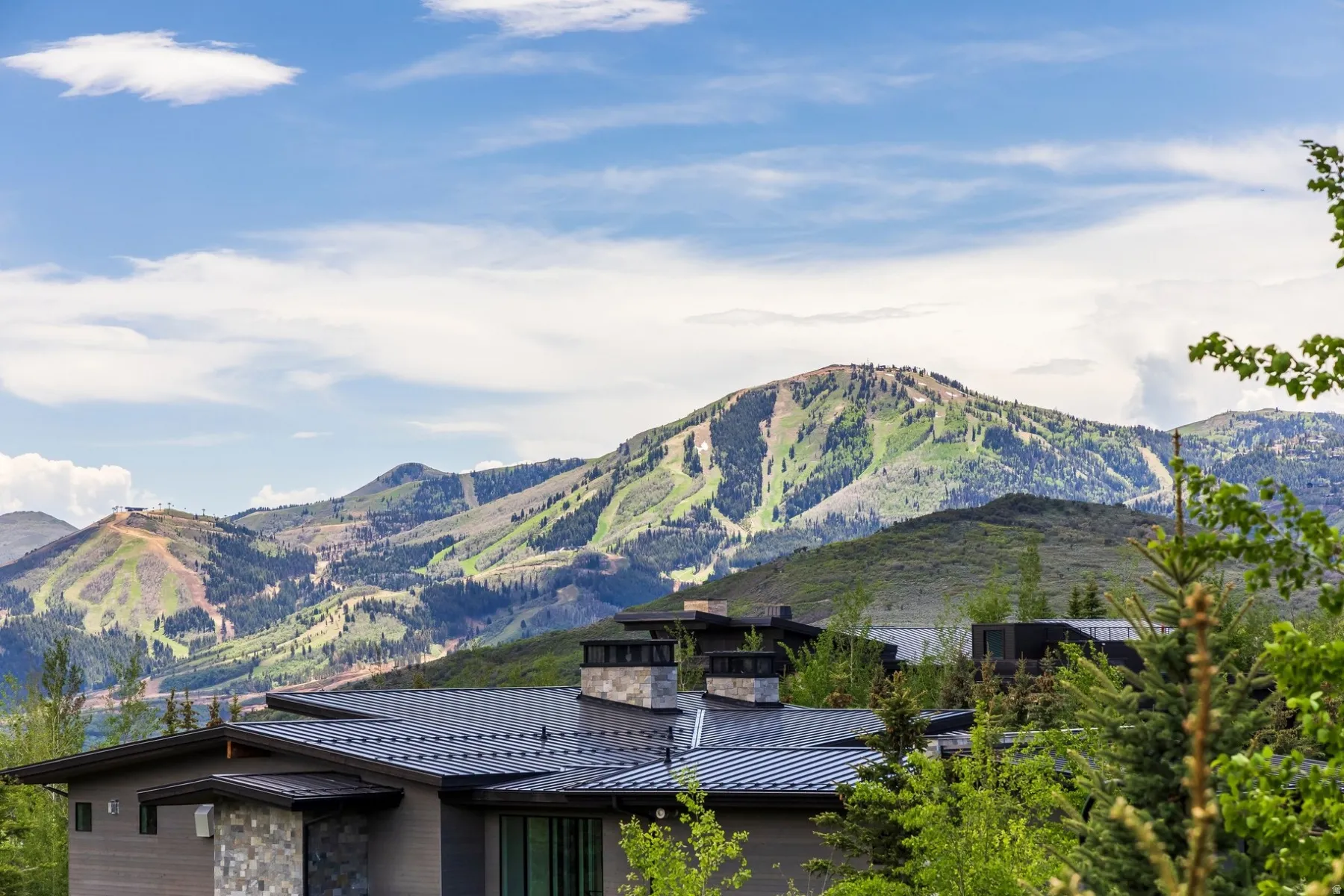 Mountain backdrop with verdant slopes