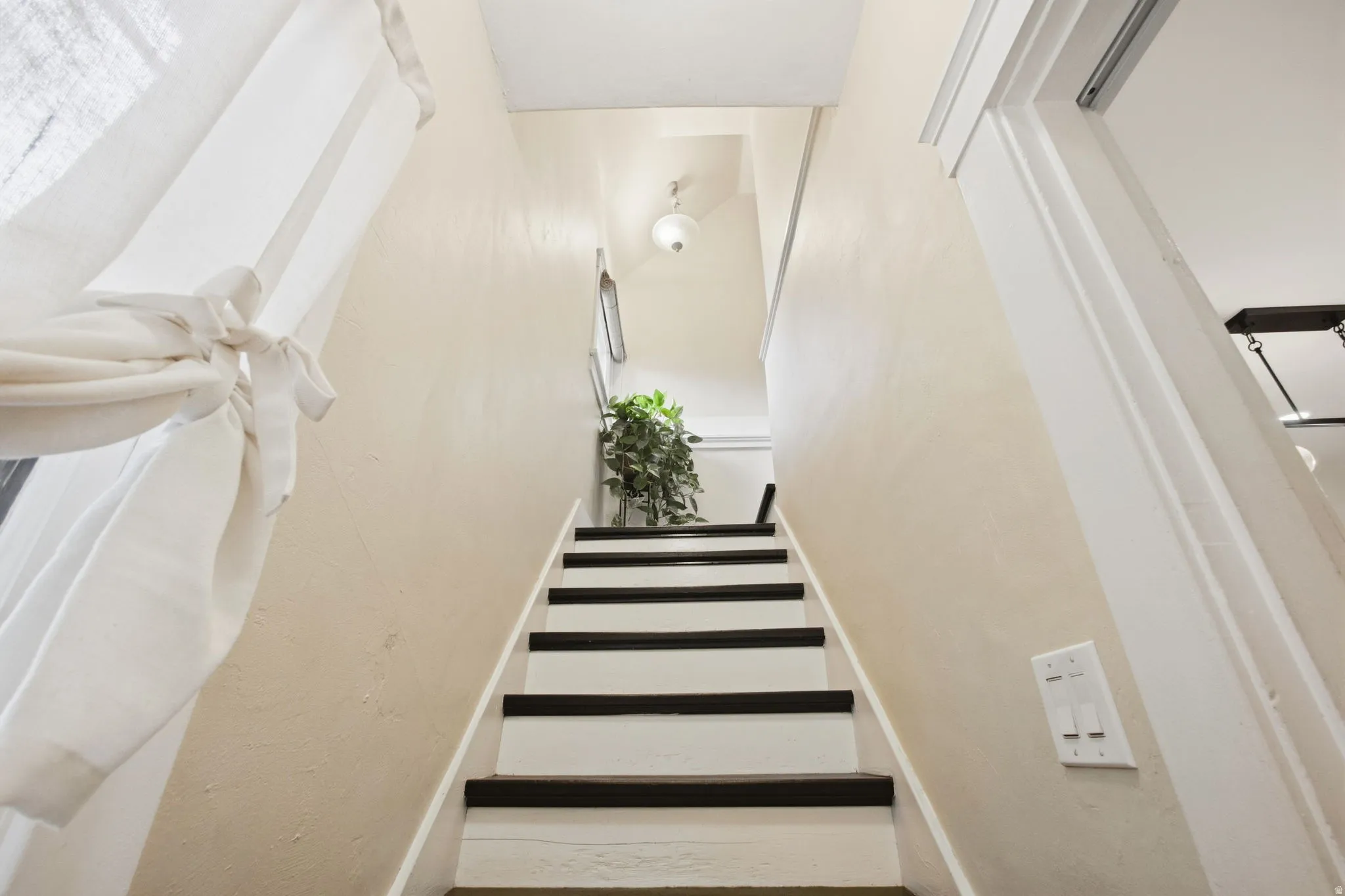 Staircase featuring dark wood-finish treads and white risers.