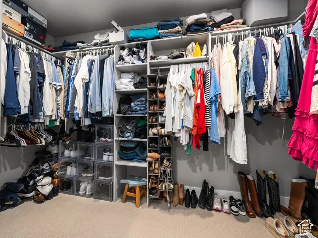 Walk-in closet featuring extensive built-in shelving, multiple hanging rods, dedicated shoe storage, and soft carpet flooring