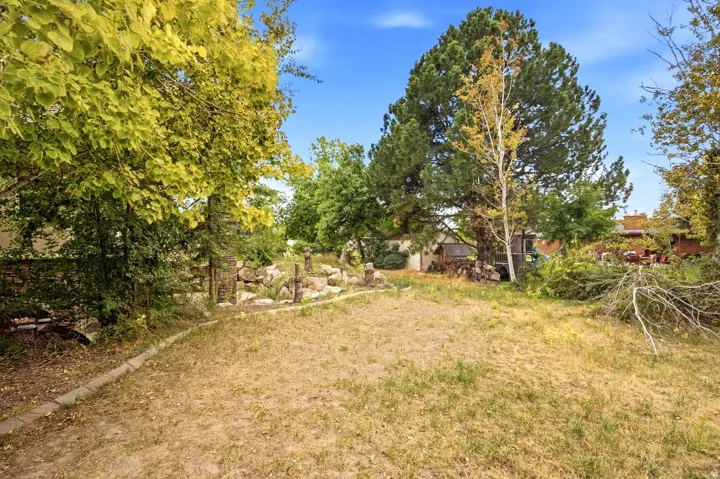 Expansive outdoor space featuring established trees, a rock retaining wall, and a concrete border