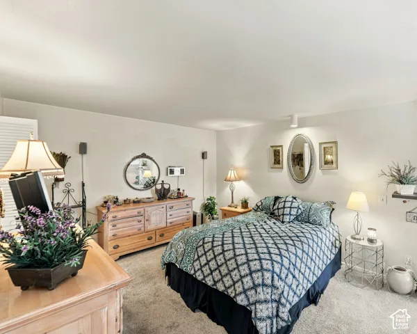 Carpeted flooring, recessed lighting, track lighting, and a built-in wall shelf