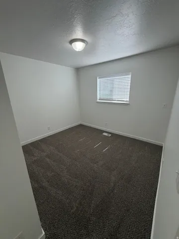 Wall-to-wall textured carpet, neutral wall paint, flush mount ceiling light, and window with blinds