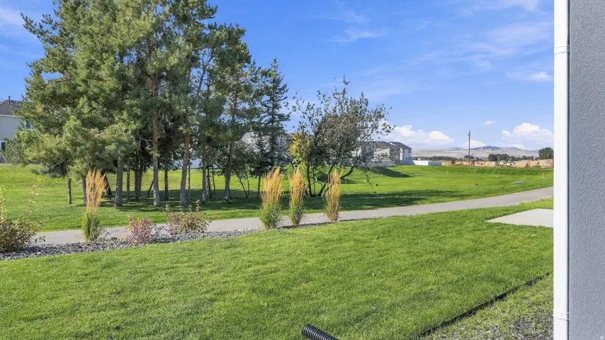 Expansive green space featuring a paved pathway, mature trees, and landscaping with ornamental grasses