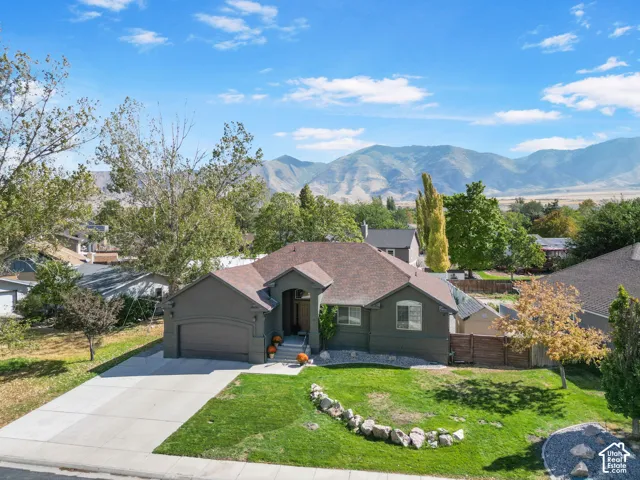 Contemporary-style property with a two-car garage, mature landscaping, and a paved driveway