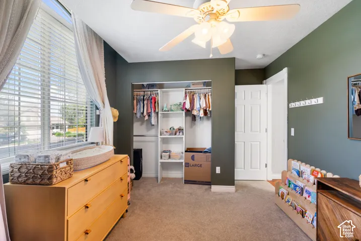 Recessed open closet with shelving, ceiling fan with light fixture, carpeted flooring, large window with blinds, and paneled interior door