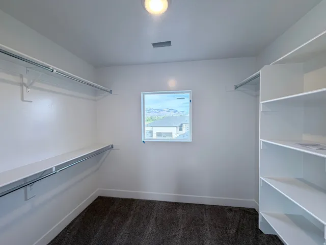 Walk-in closet featuring white built-in shelving, hanging rods, an exterior window, overhead lighting, and dark carpeting