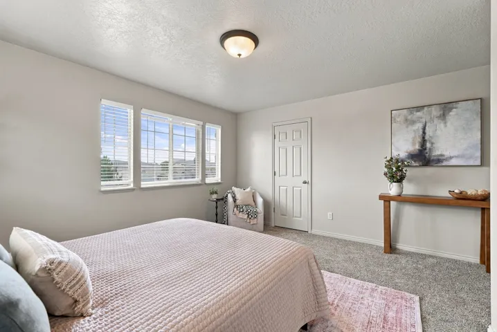 Light gray wall paint, multiple windows with horizontal blinds, overhead flush mount light fixture, textured gray carpeting, and a white paneled door