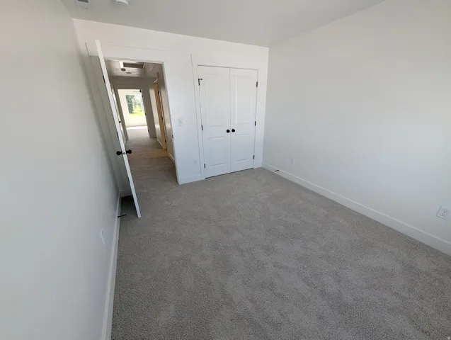 Plush carpet flooring, white walls, white trim, and a white bi-fold closet door with black hardware