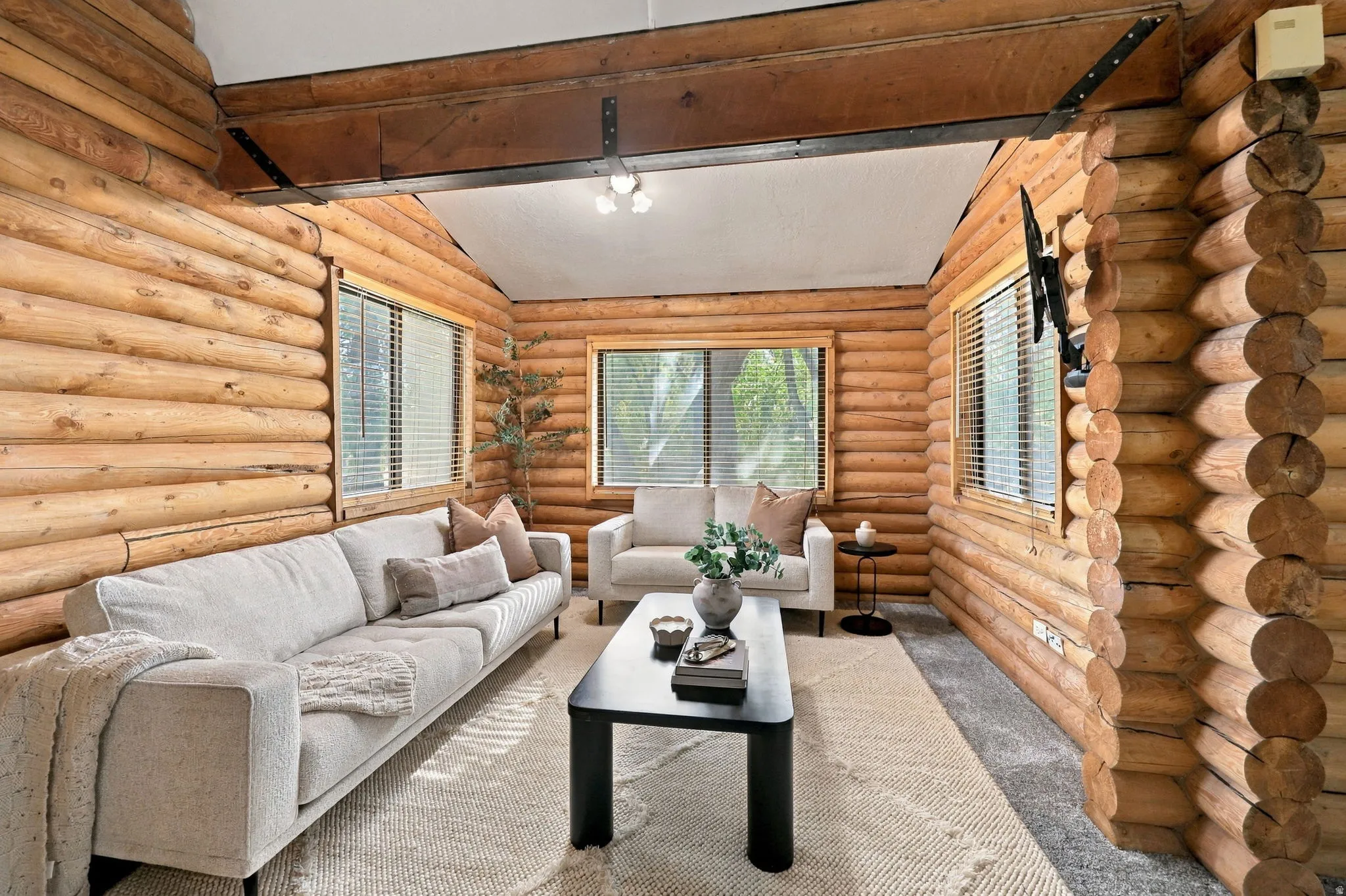 Exposed log walls, vaulted ceiling with exposed beams, wood-framed windows, and track lighting
