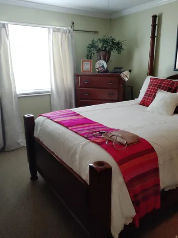 Carpeted flooring, crown molding, white window trim, and a built-in ceiling fan