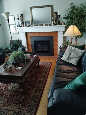 Fireplace with a black insert and tiled surround