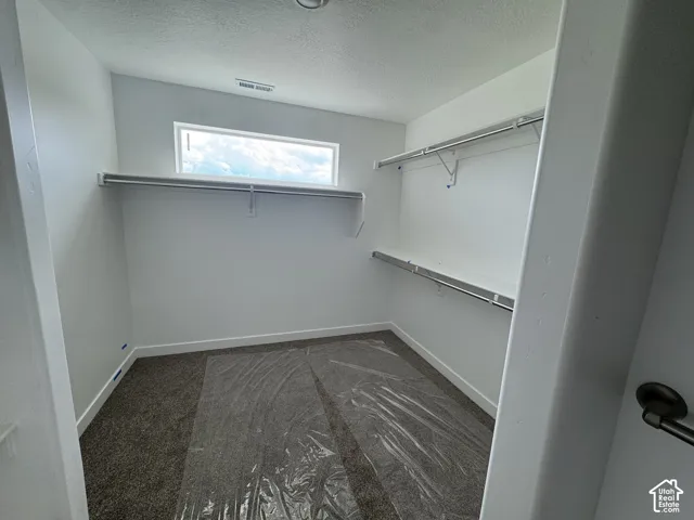 Walk-in closet featuring built-in shelving, hanging rods, an integrated window, and textured carpet flooring