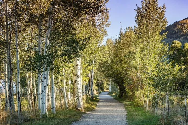 4315 N Old Ranch Road, Park City, Utah 84098