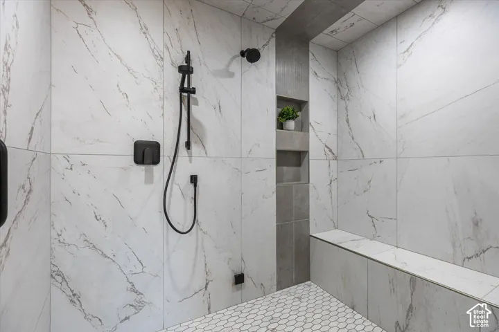 Primary shower detail