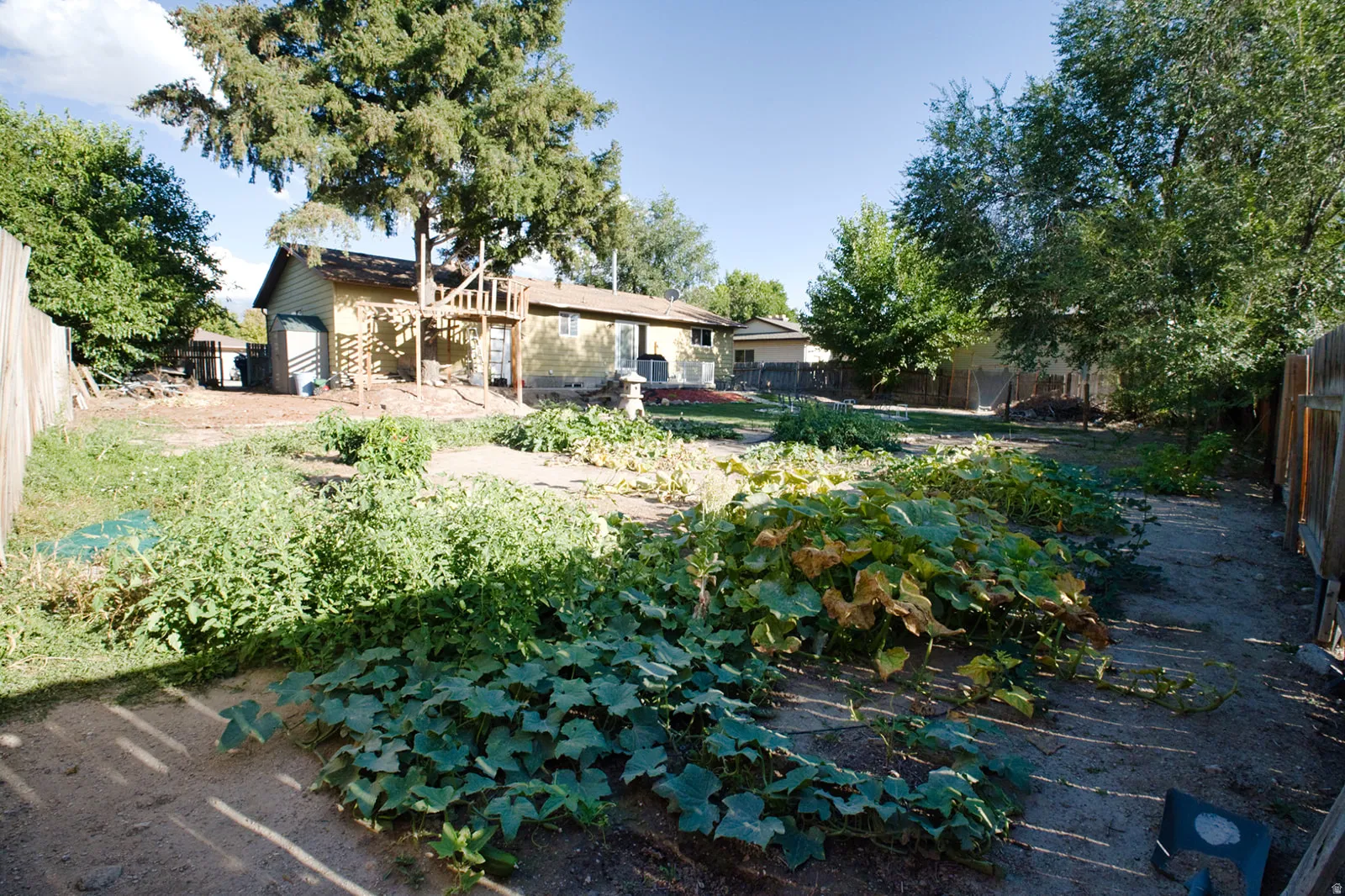 Expansive backyard featuring planted garden beds, established perimeter fencing, and mature trees