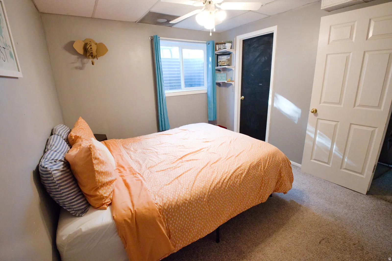 Carpeted flooring, paneled interior door, window with horizontal blinds, built-in wall shelving, ceiling fan with light fixture