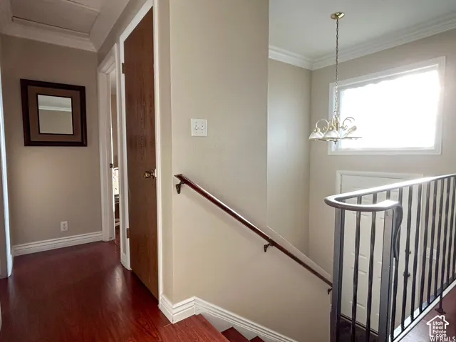 Hardwood flooring, painted walls, crown molding, built-in handrail, and chandelier