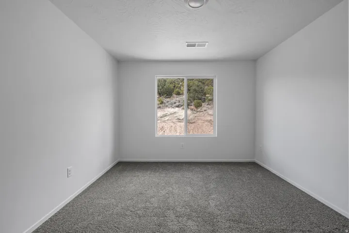 Neutral wall finishes, plush grey carpeting, a large sliding window, and an overhead flush-mount light fixture