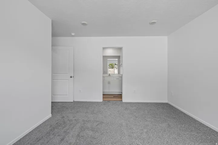 Plush gray carpeting, white walls, recessed ceiling lighting, two-panel interior door, and a partial view of a bathroom vanity with a mirror