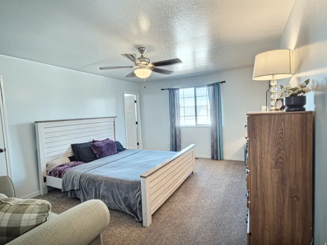 Bright bedroom featuring a ceiling fan with integrated lighting, carpet flooring, and a large window with vertical blinds