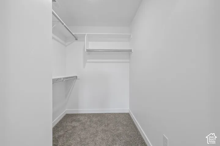 Built-in shelving, hanging rods, and dark carpet flooring