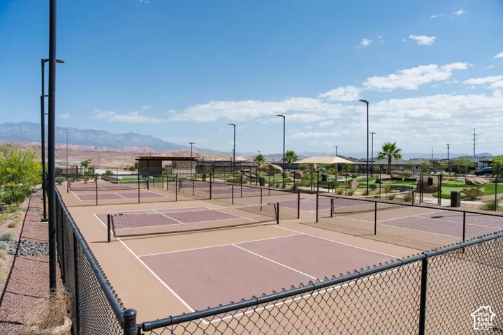 Multiple outdoor pickleball courts with black chain-link fencing, surrounded by landscaping featuring mature palms and desert plants