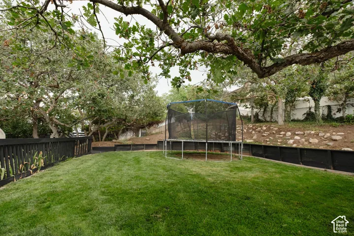Expansive backyard featuring a manicured lawn, mature trees, and a dark-toned privacy fence
