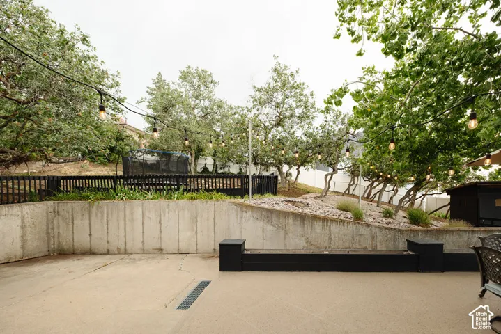 Concrete patio area with a sloped retaining wall, string lighting, and mature trees