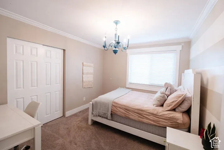 Crown molding and textured carpeting enhance this space