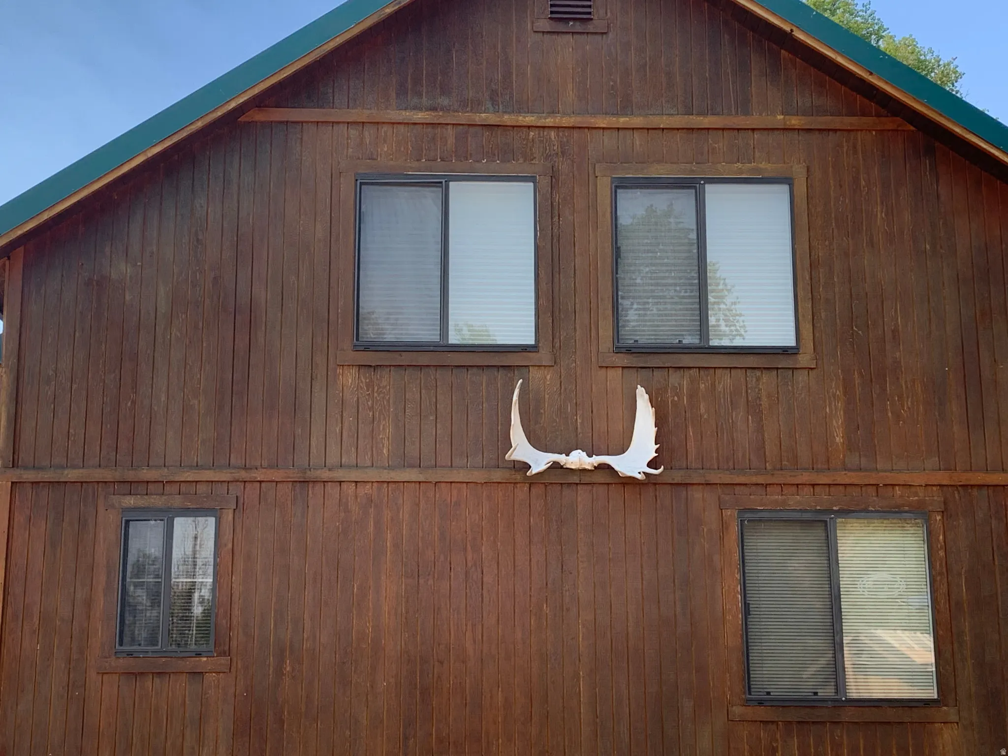 Vertical wood panel siding featuring multiple windows
