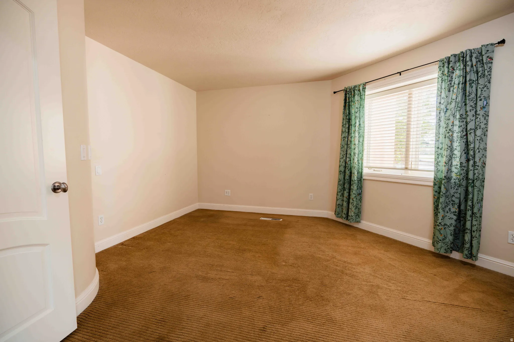 Neutral wall paint, window with horizontal blinds, and carpeting