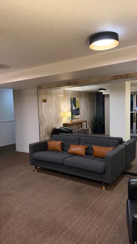 Recessed and surface-mounted lighting fixtures illuminate a textured accent wall and broadloom carpeting