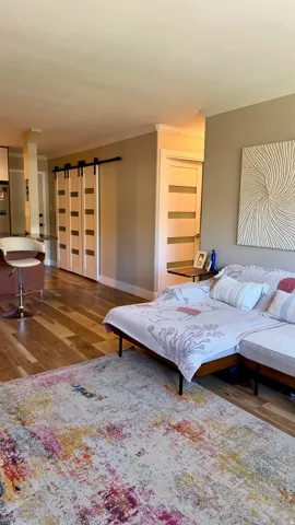 Wood-finish flooring throughout, modern barn door with horizontal paneling, and an interior door with frosted glass inserts