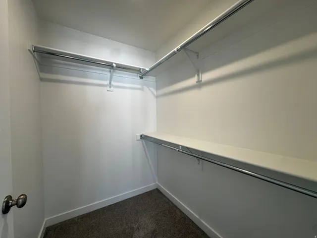 Walk-in closet featuring carpet flooring, built-in shelving, and metal hanging rods