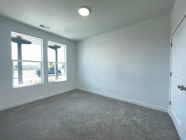 Neutral wall color, plush gray carpeting, dual pane windows, and a flush-mount ceiling light