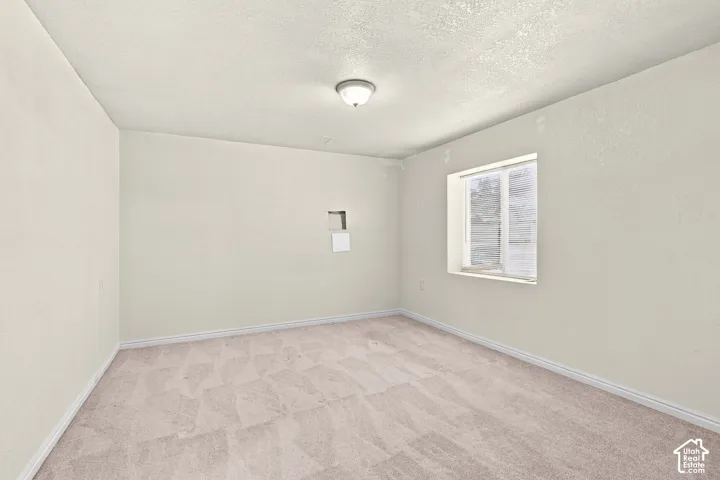 Neutral-toned walls with textured finish, window with white blinds, flush-mount ceiling light fixture, and plush carpet flooring