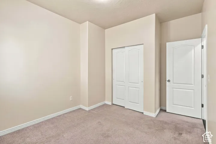 Plush carpeting, neutral wall tones, white trim, and a white paneled door