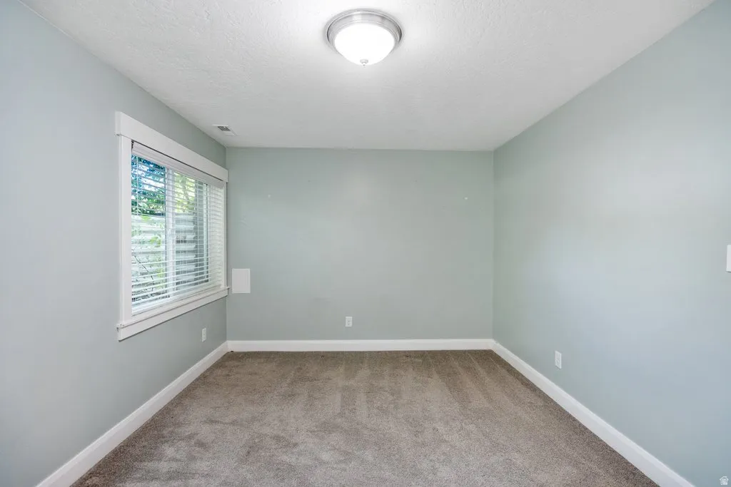 Light-colored carpeting with painted walls and white trim