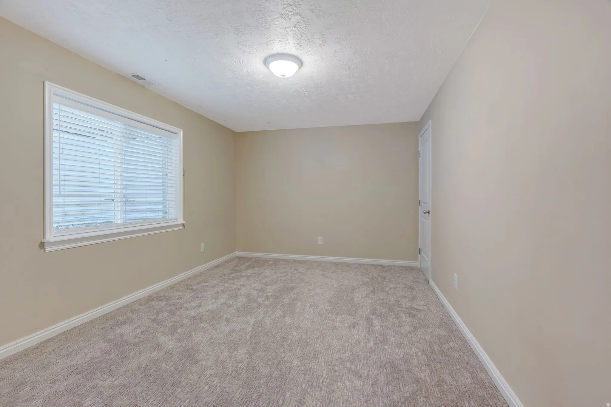 Neutral-toned walls, plush carpet, and a window with blinds