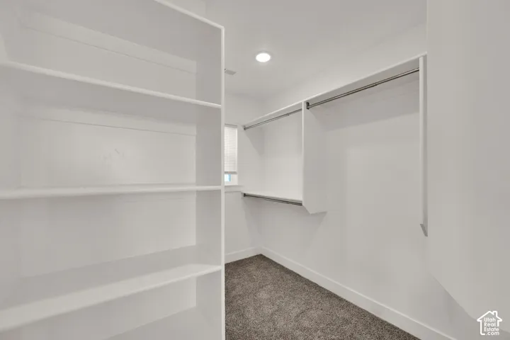 Built-in shelving, hanging rods, recessed lighting, and carpeted flooring
