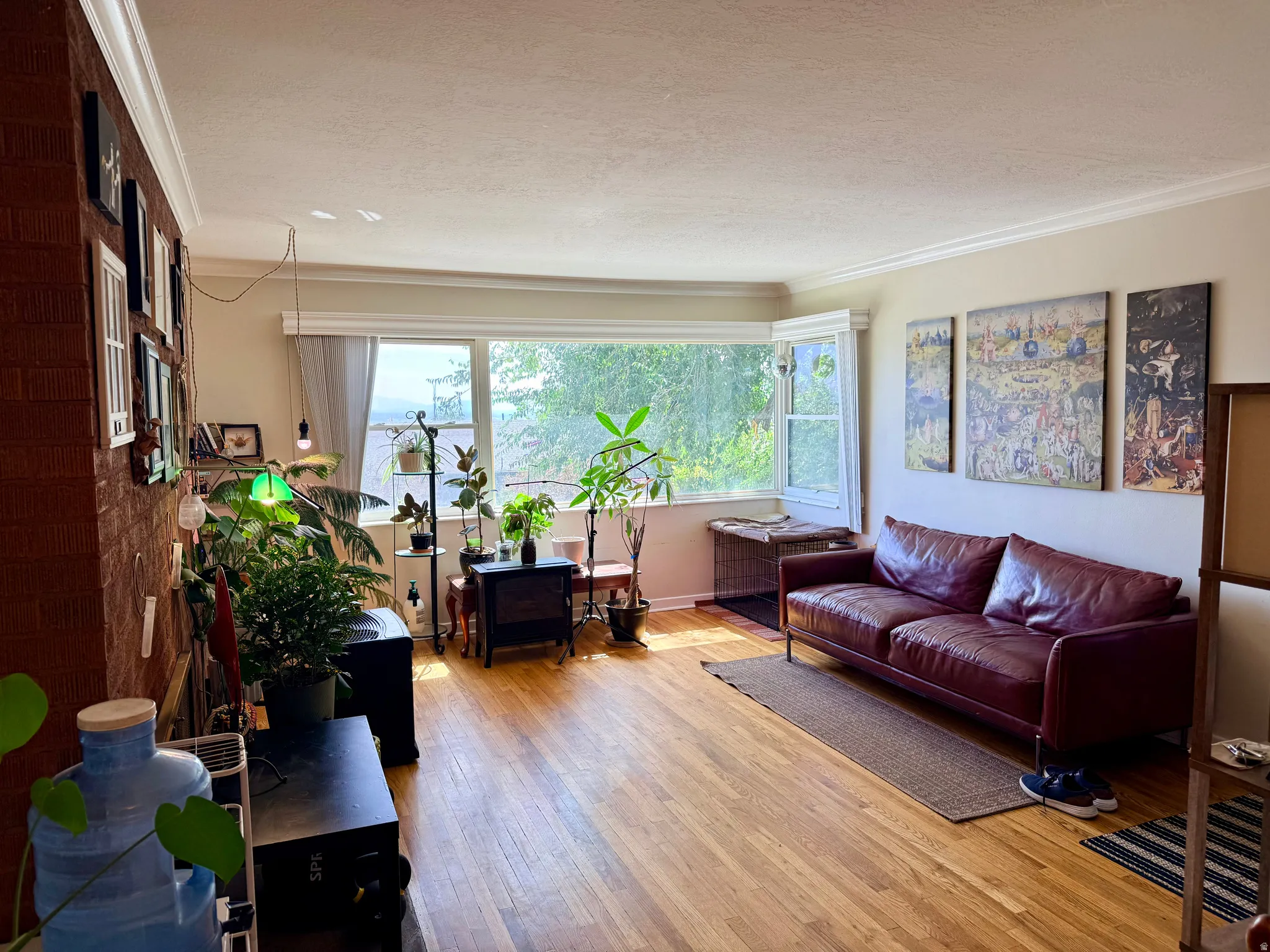 677 Living Room