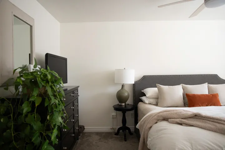 Primary suite with ceiling fan, wall-to-wall carpeting, and neutral paint palette