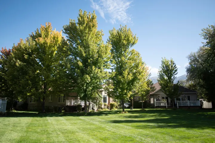Expansive green lawn with mature trees and a distant mountain backdrop