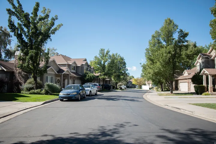 Tree-lined street with established residential properties, each featuring individual landscaping