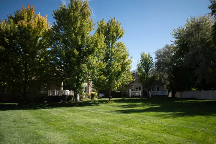 Expansive lawn area with mature trees, providing natural shading