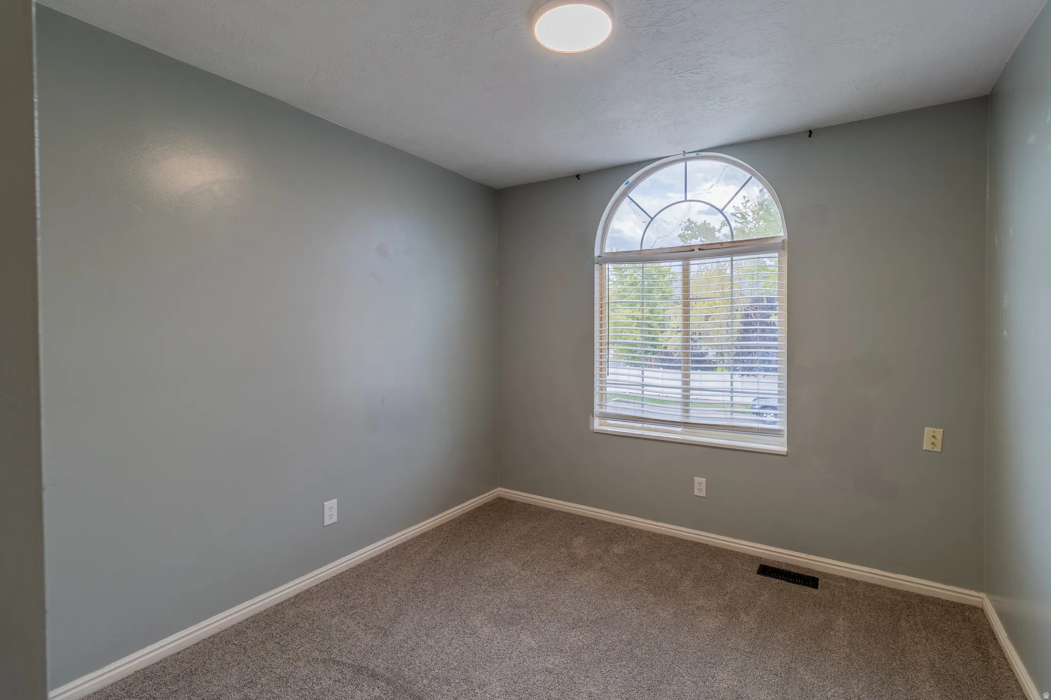 Arched window with blinds, overhead flush mount light, and neutral wall color