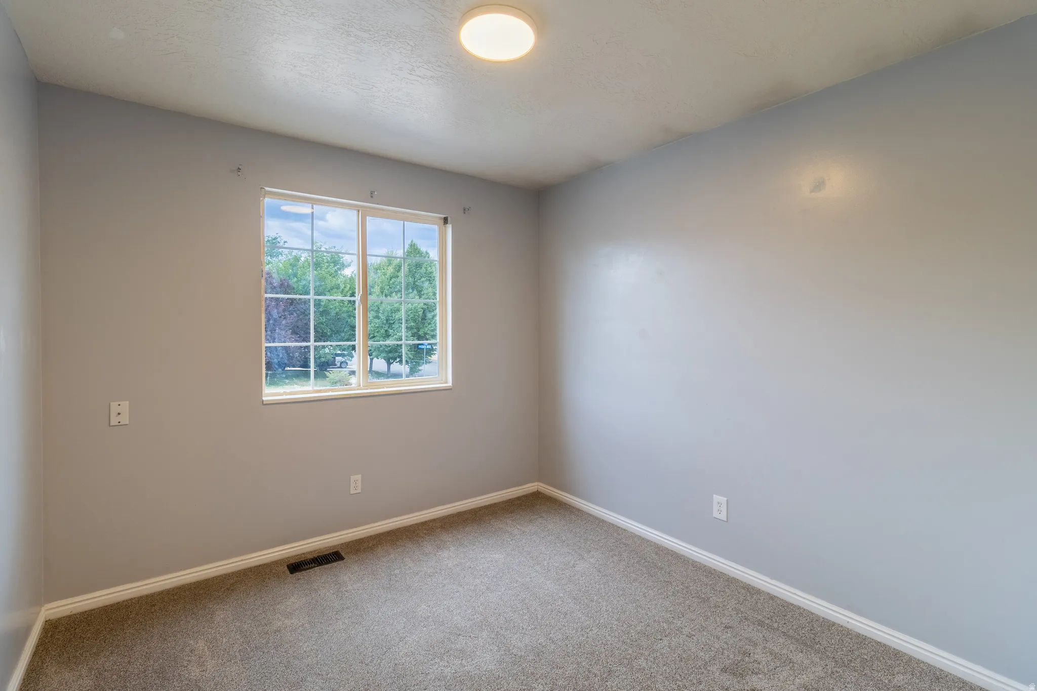Neutral wall paint, window with grid panes, textured carpet, and a flush-mount ceiling light fixture