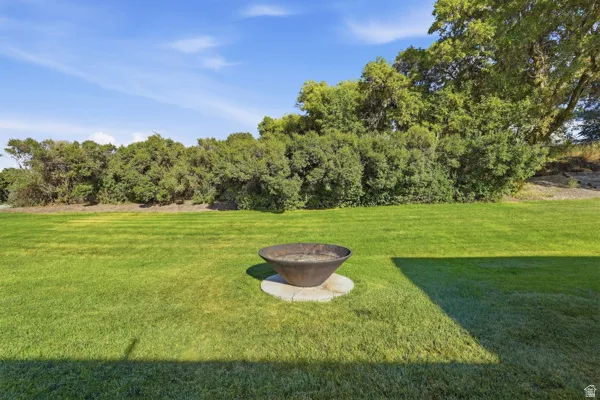 Expansive lawn with a fire pit featuring a stone base, surrounded by mature trees and natural landscaping