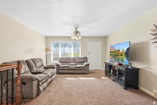 Carpeted living area with light-toned walls